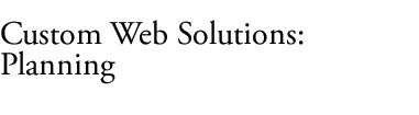 Websiders Custom Web Solutions - Planning