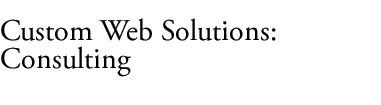Websiders Custom Web Solutions - Consulting